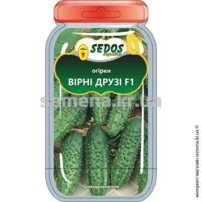Огурец Верные друзья F1 ТМ "Sedos"