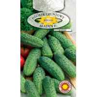 Огурец Алладин F1 5 г. ТМ "Roltico" Огурец Алладин F1 5 г. ТМ "Roltico"