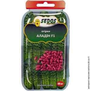 Огірок Алладін F1 ТМ "Sedos" Огірок Алладін F1 ТМ "Sedos"