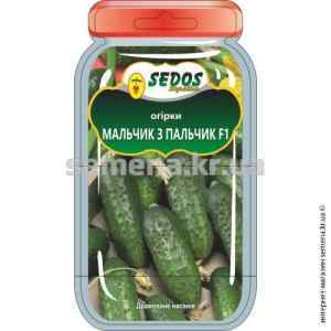 Огірок Мальчик із пальчик F1 ТМ "Sedos"
