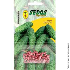Огурец Титус F1 ТМ "Sedos"