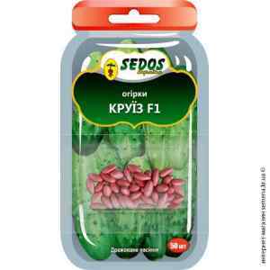Огурец Круиз F1 ТМ "Sedos"