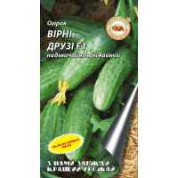 Огурец Верные друзья F1 0.5 г. ТМ "Кращий урожай"