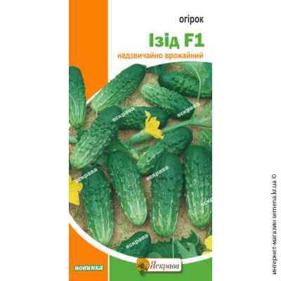 Огурец Изид F1 0.5 г. ТМ "Яскрава"