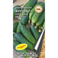 Огурец Внучок F1 0.5 г. ТМ "Кращий урожай"