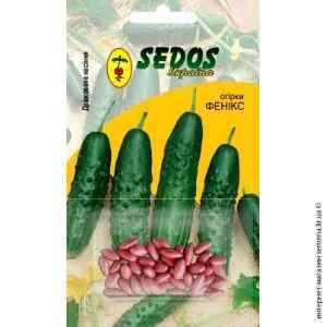Огірок Фенікс ТМ "Sedos" Огірок Фенікс ТМ "Sedos"