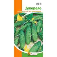 Огурец Джерело 1 г.