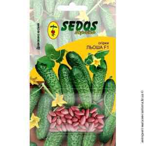 Огірок Льоша F1 ТМ "Sedos"