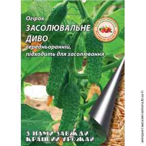 Огірок Засолочне диво 3 г. ТМ "Кращий урожай"