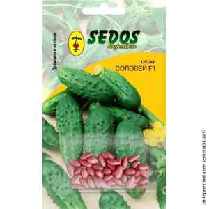 Огурец Соловей F1 ТМ "Sedos"