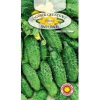 Огурец Анулька F1 5 г. ТМ "Roltico" Огурец Анулька F1 5 г. ТМ "Roltico"