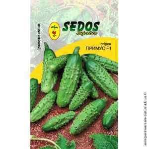 Огірок Примус F1 ТМ "Sedos"
