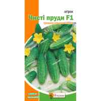 Огурец Чистые пруды F1 0,3 г.