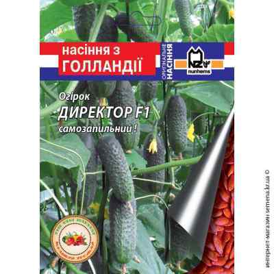 Директор F1 семена огурца 10 шт.