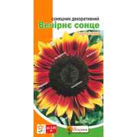 Подсолнух Вечернее солнце 2 г.