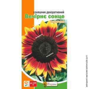 Соняшник Вечірнє сонце 2 г. Соняшник Вечірнє сонце 2 г.