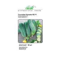 Огурец Караоке F1 10 шт. ТМ "Rijk Zvaan" Огурец Караоке F1 10 шт. ТМ "Rijk Zvaan"