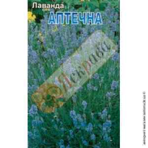 Яскрава (Украина) Семена лаванды 0.1 г. Яскрава (Украина) Семена лаванды 0.1 г.