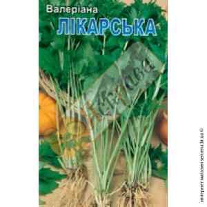 Насіння Валеріани докторської 0.1 г. Насіння Валеріани докторської 0.1 г.