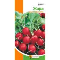 Редис Жара 10 г.