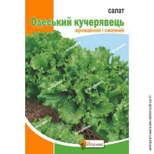 Семена салата Одесский кучерявец 10 г. (Яскрава) Семена салата Одесский кучерявец 10 г. (Яскрава)