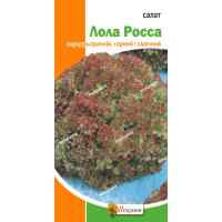 Салат Лола Росса 1 г.