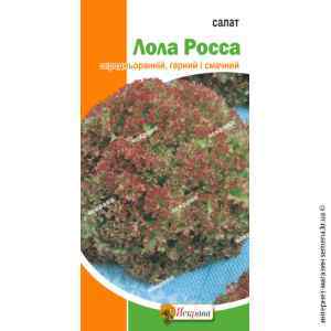 Салат Лола Росса 1 г. Салат Лола Росса 1 г.
