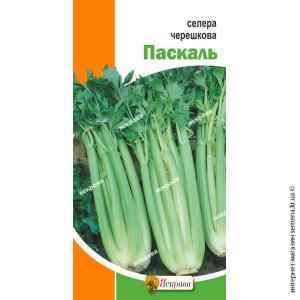 Семена сельдерея черешкового Паскаль 0.5 г. Семена сельдерея черешкового Паскаль 0.5 г.