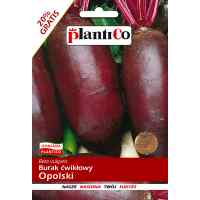 Семена свеклы Опольськая 50 г.  