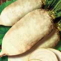 Семена свеклы кормовой Центаур (белый) (20кг/меш) Семена свеклы кормовой Центаур (белый) (20кг/меш)