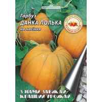 Семена тыквы  Данка Полька 10 г.