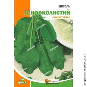 Щавель Широколистий 20 г. ТМ "Яскрава"