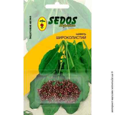 Широколистный щавель 2 г. ТМ "Sedos"