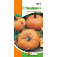 Семена тыквы Витаминная 2 г. Семена тыквы Витаминная 2 г.