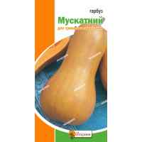 Тыква Мускатная 1 г. Тыква Мускатная 1 г.