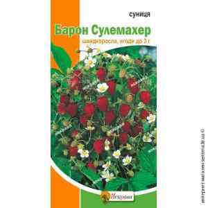 Семена земляники Барон Сулемахер 0.1 г. Семена земляники Барон Сулемахер 0.1 г.