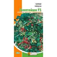 Семена земляники ползучая Темптейшн 0.1 г.