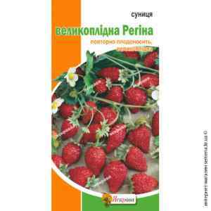 Земляника Регина 0,1 г. Земляника Регина 0,1 г.