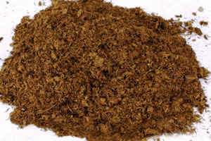 все для рассады оптом